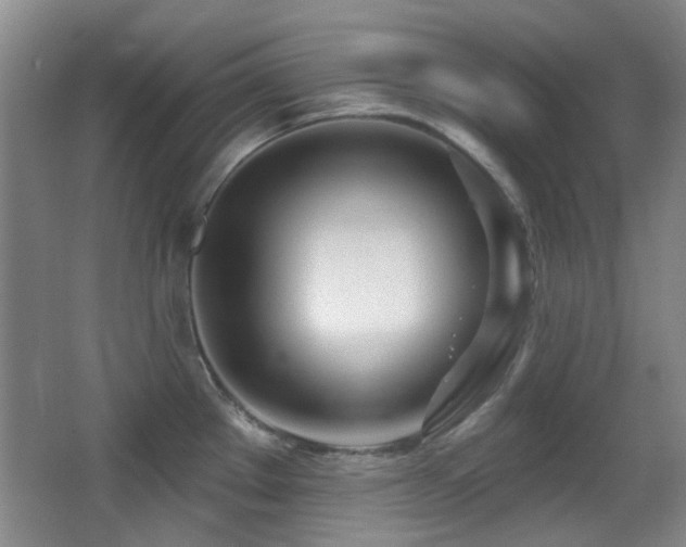 X0000066991289200603241306