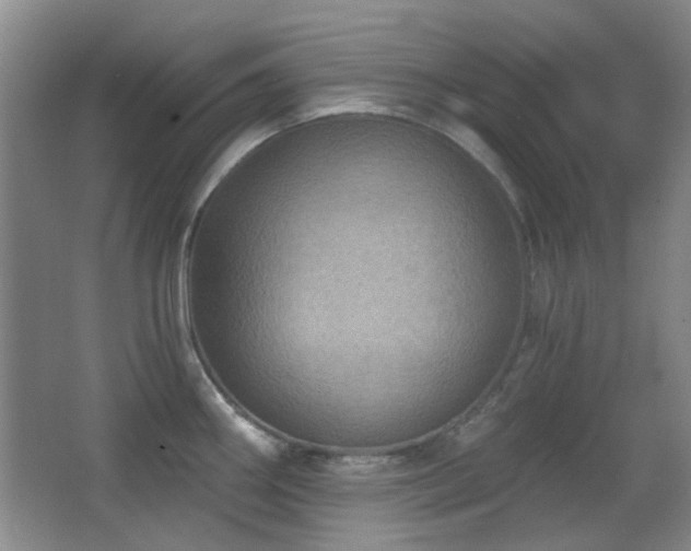 X0000066991290200603241306
