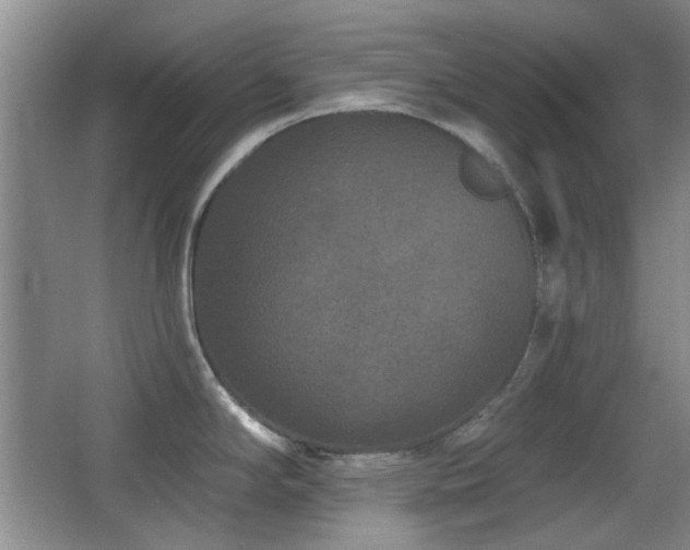X0000066991294200603241306