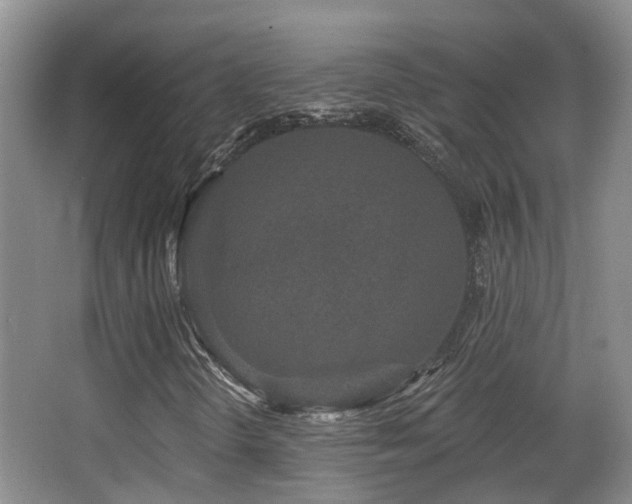 X0000066991298200603241305