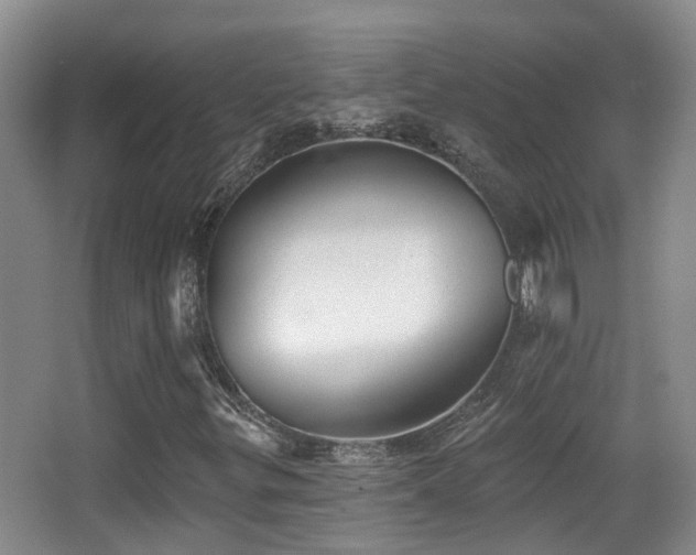 X0000066991299200603241305
