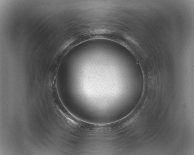 X0000066991305200603241306