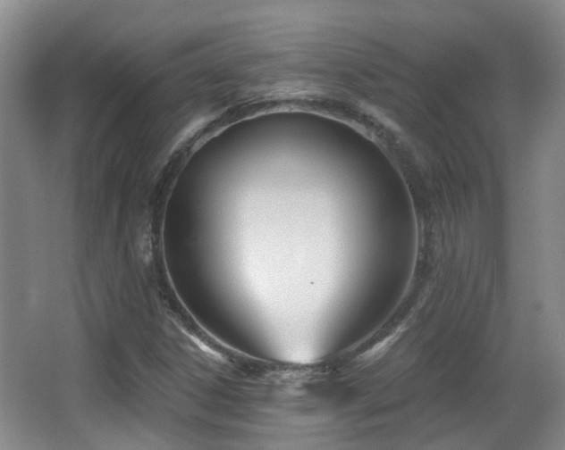 X0000066991306200603241306