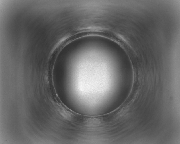 X0000066991307200603241306