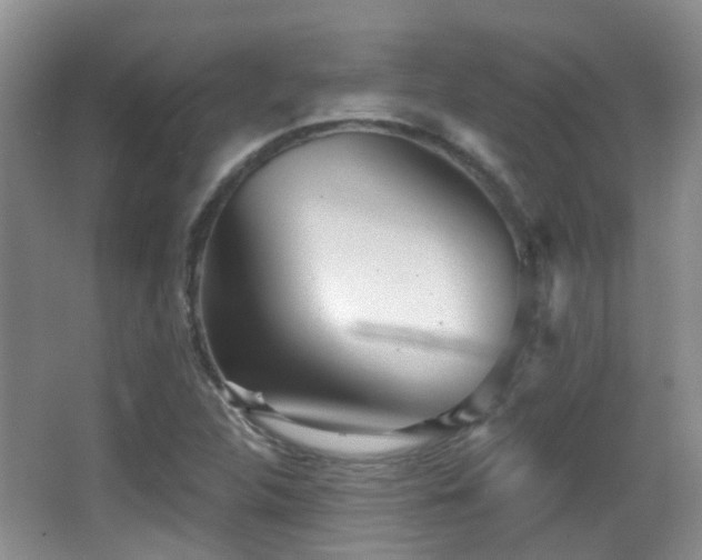 X0000066991312200603241306