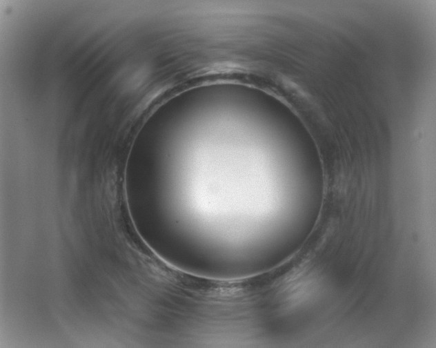 X0000066991313200603241306