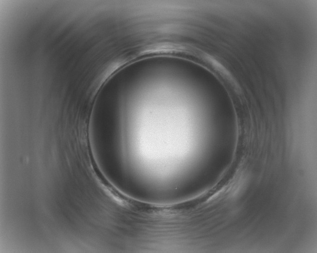 X0000066991329200603241306
