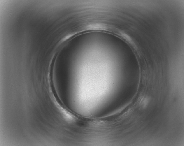 X0000066991331200603241306
