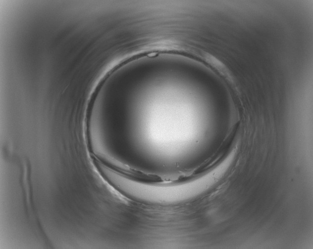 X0000066991334200603241306
