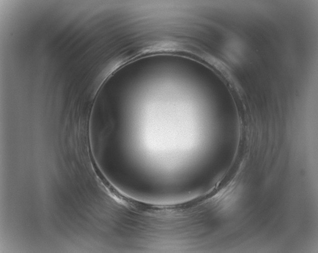 X0000066991337200603241306