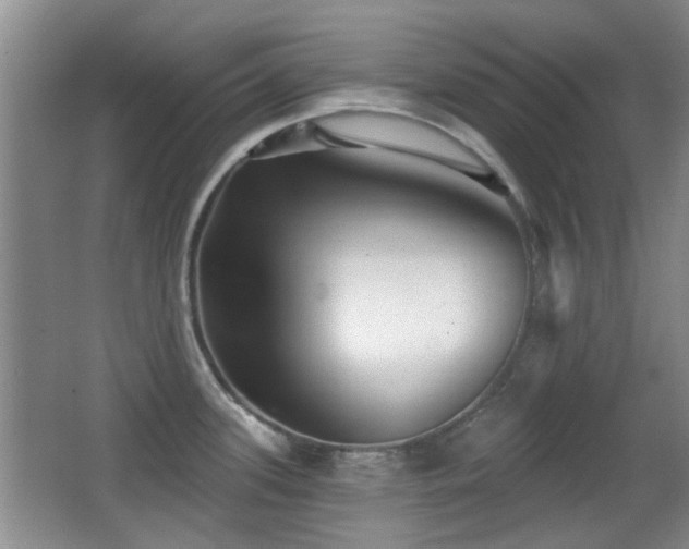 X0000066991339200603241306