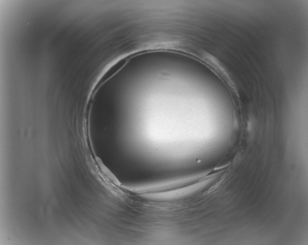 X0000066991340200603241306