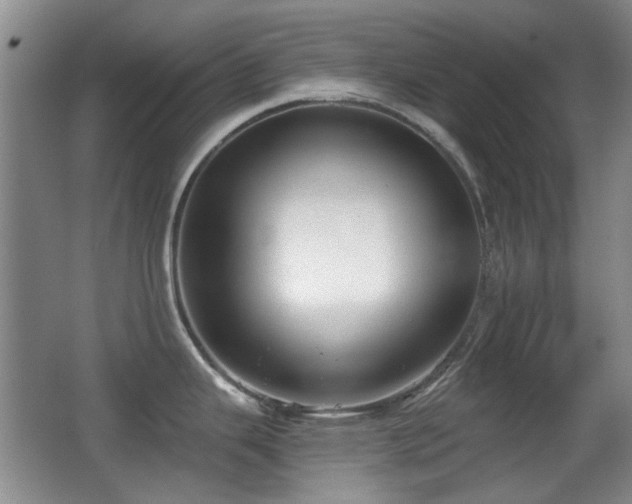 X0000066991343200603241306