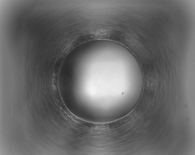 X0000066991346200603241305