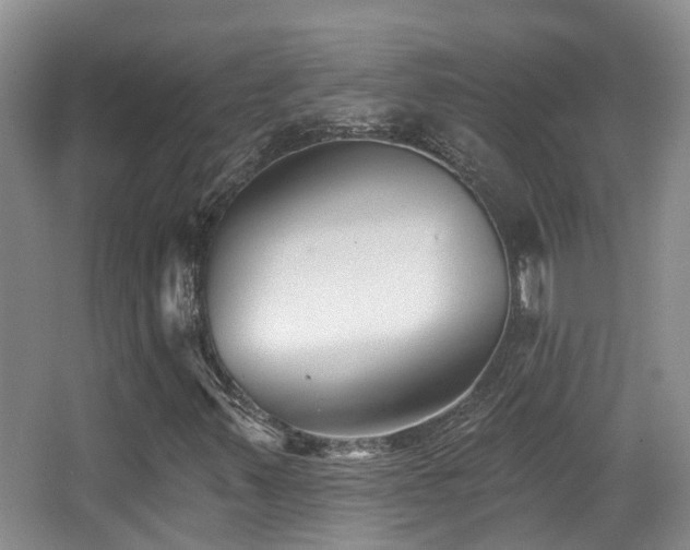 X0000066991347200603241305