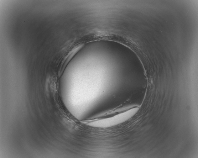 X0000066991348200603241305