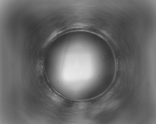 X0000066991355200603241305