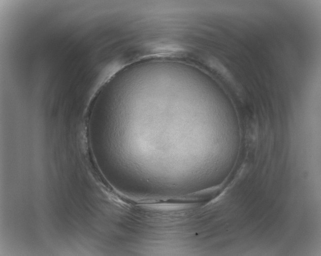 X0000066991362200603241305