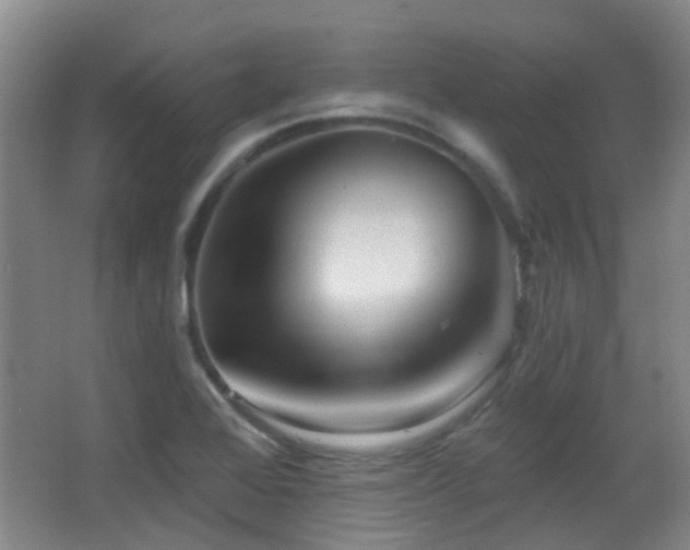X0000066991368200603241305
