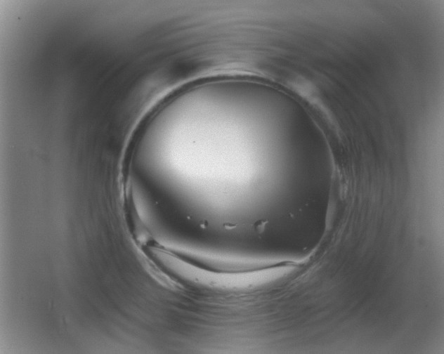 X0000066991372200603241305