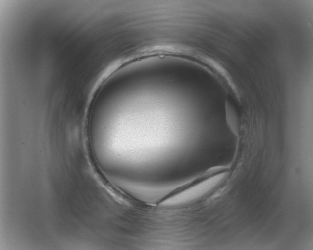 X0000066991373200603241305