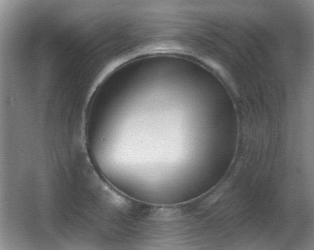 X0000066991374200603241305