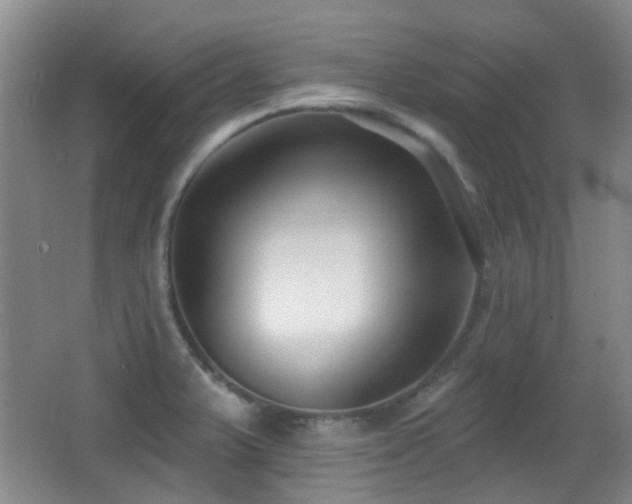 X0000066991375200603241305