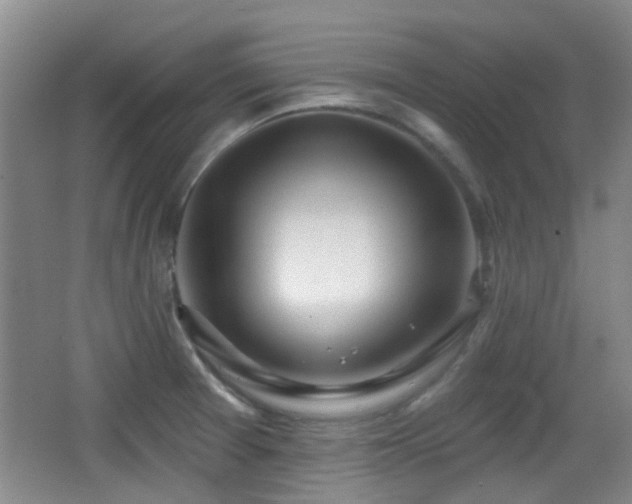 X0000066991377200603241305