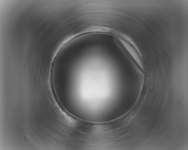 X0000066991379200603241305