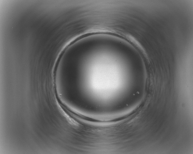 X0000066991380200603241305