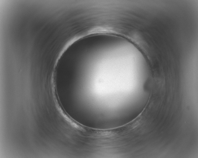 X0000066991382200603241305