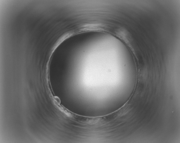 X0000066991386200603241305