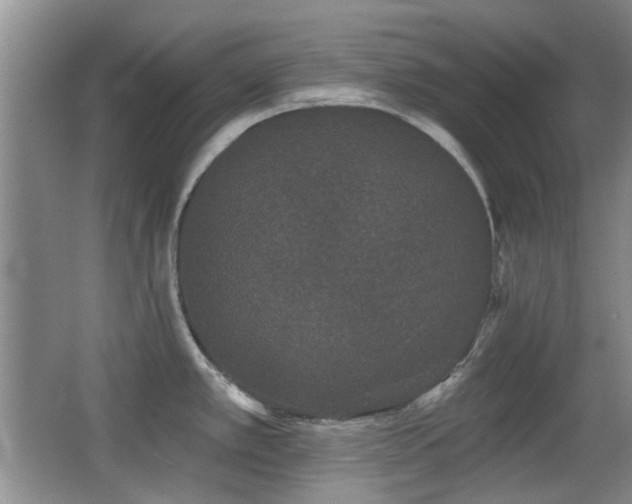 X0000066991389200603241305