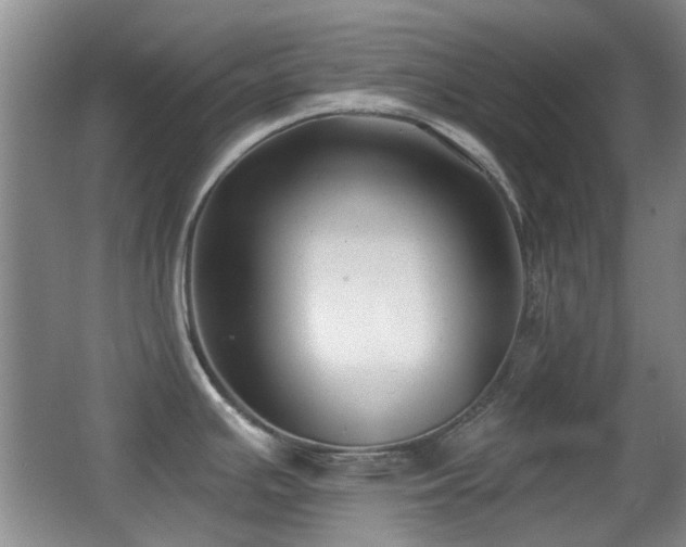 X0000066991391200603241305