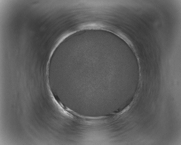 X0000066991392200603241305
