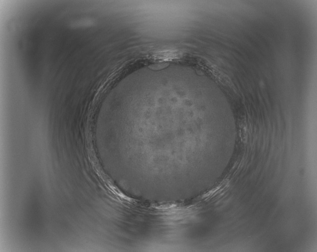 X0000066991393200603241304