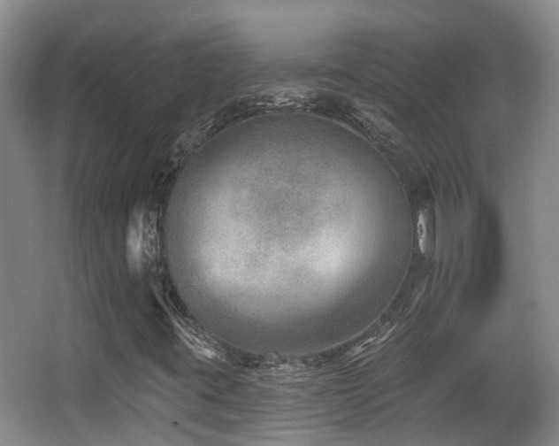 X0000066991395200603241304