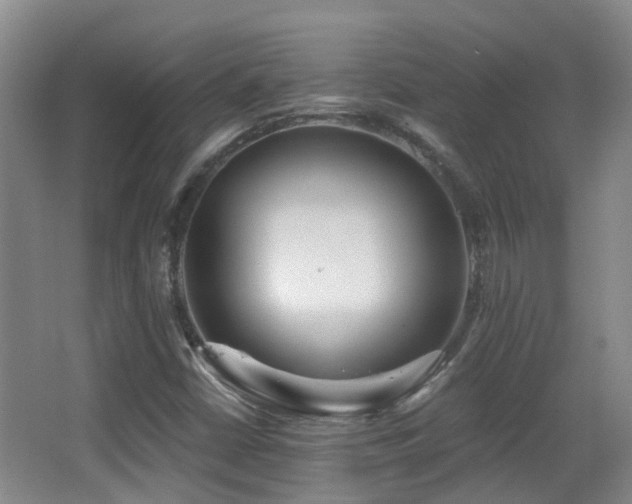 X0000066991402200603241304