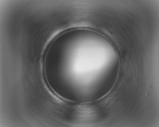 X0000066991416200603241304