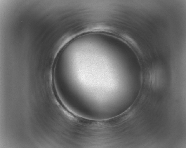 X0000066991420200603241304