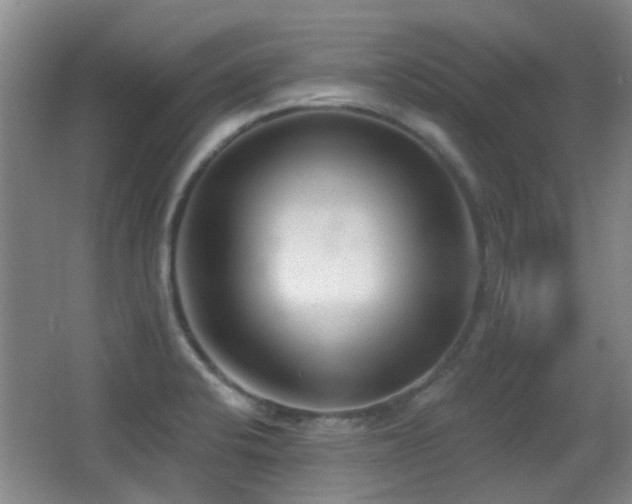 X0000066991424200603241304