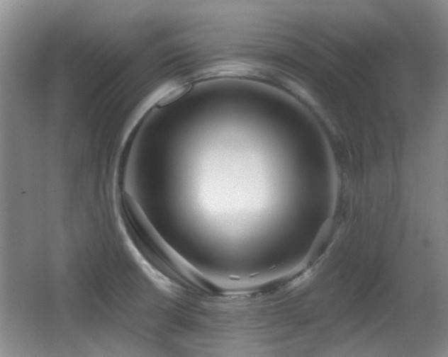 X0000066991426200603241304
