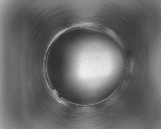 X0000066991436200603241304