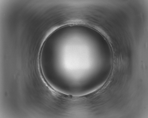 X0000066991440200603241305