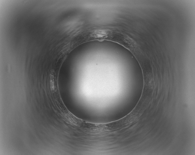 X0000066991442200603241304