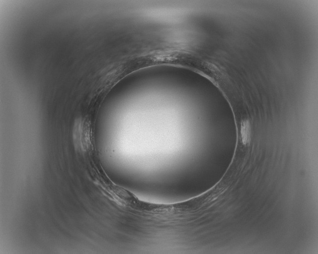 X0000066991444200603241304