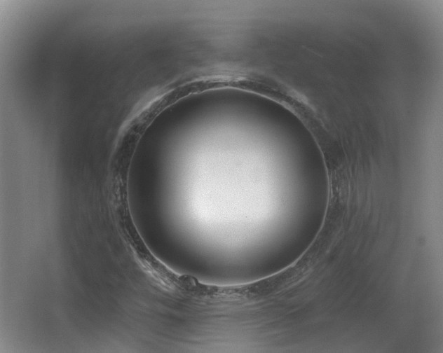 X0000066991448200603241304