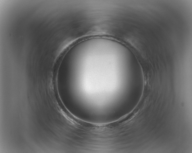 X0000066991452200603241304