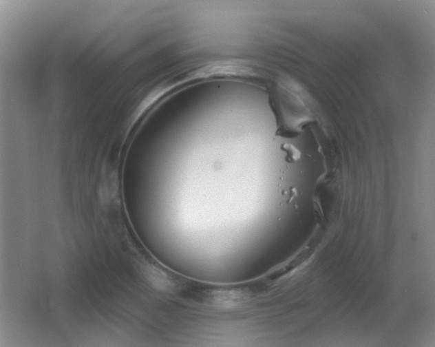 X0000066991465200603241303