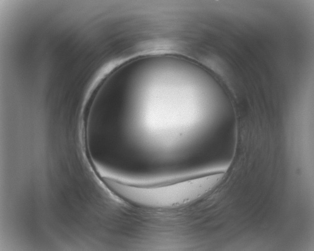 X0000066991472200603241303